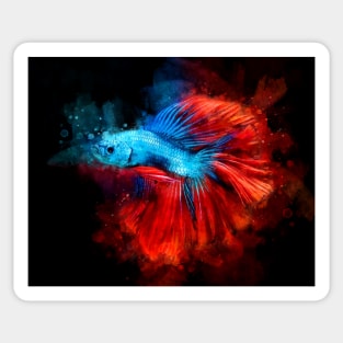 Blue Betta Fish with Red Tail watercolor Sticker